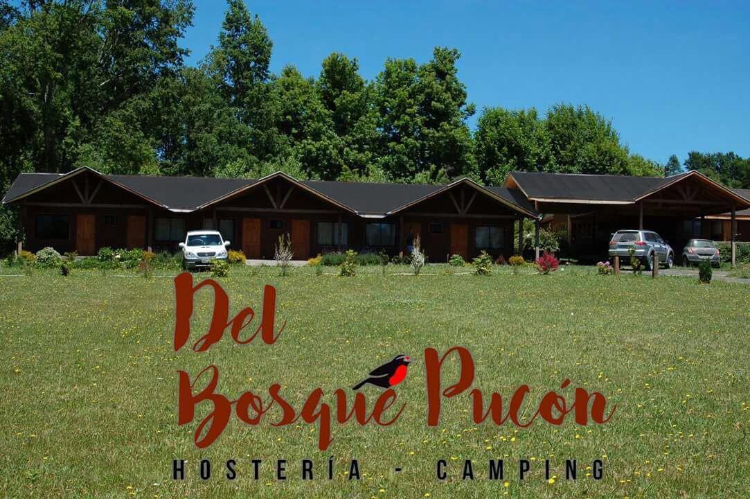 Y Camping Del Bosque 2* Pucón