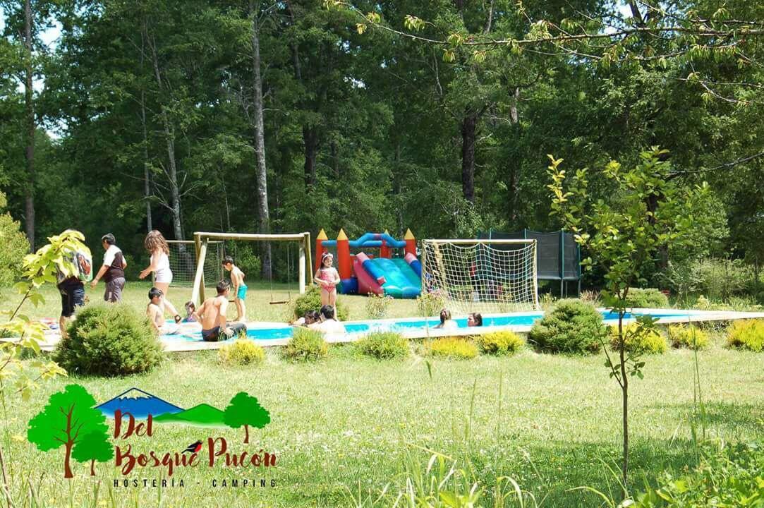Y Camping Del Bosque Pucón