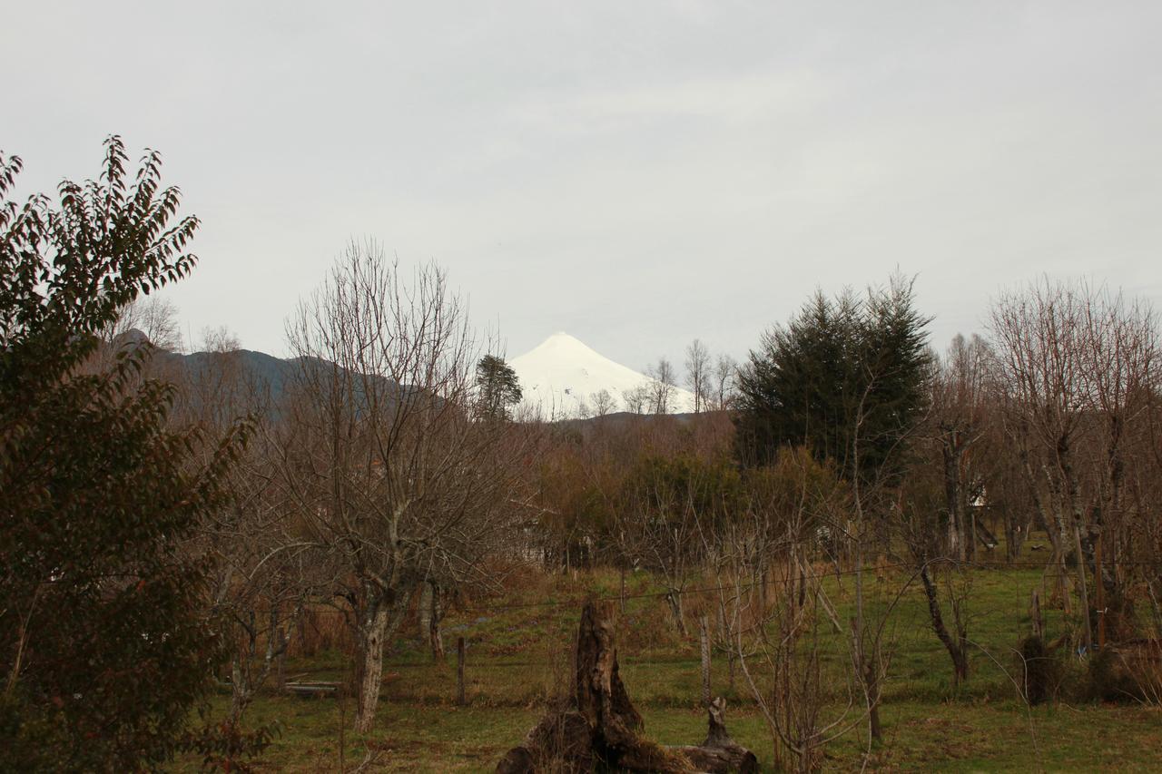 Y Camping Del Bosque Inn Pucón